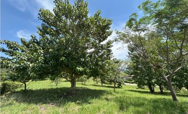 VENTA DE LOTE EN TARSO SUROESTE ANTIOQUEÑO