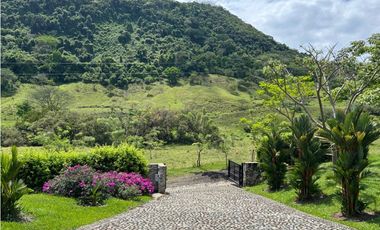 VENTA DE FINCA EN TARSO SUROESTE ANTIOQUEÑO