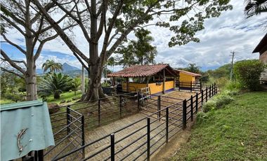 Venta de finca en Tamesis suroeste antioqueño