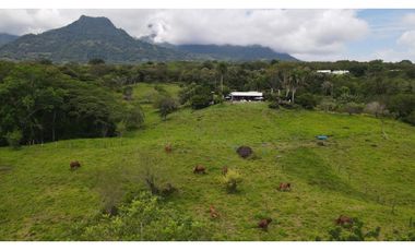 Venta de finca en Tamesis suroeste antioqueño