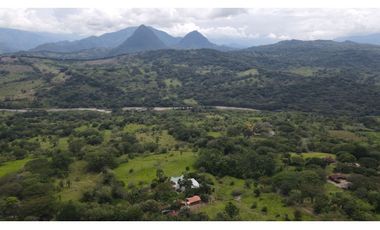 Venta de finca en Tamesis suroeste antioqueño