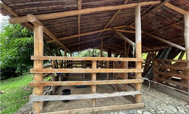 Venta de finca en Tamesis suroeste antioqueño