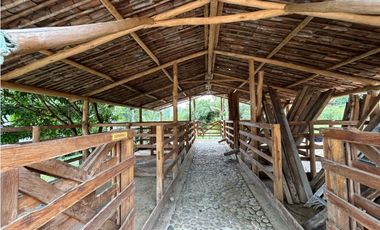 Venta de finca en Tamesis suroeste antioqueño