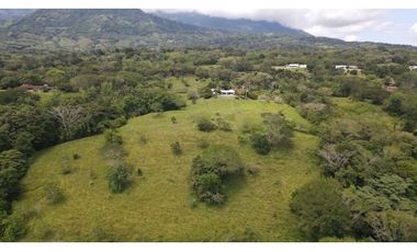 Venta de finca en Tamesis suroeste antioqueño