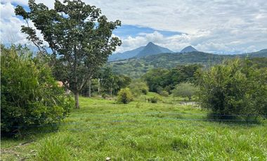 Venta de finca en Tamesis suroeste antioqueño