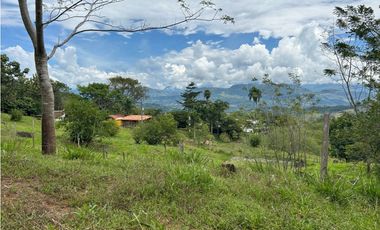 Venta de finca en Tamesis suroeste antioqueño