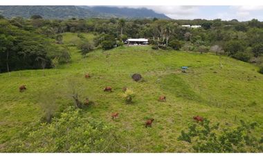 Venta de finca en Tamesis suroeste antioqueño