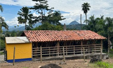 Venta de finca en Tamesis suroeste antioqueño