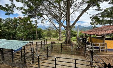 Venta de finca en Tamesis suroeste antioqueño