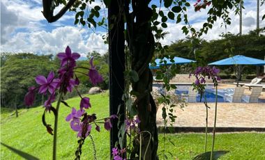 Venta de finca en Tamesis suroeste antioqueño