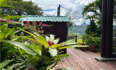 Venta de finca en Tamesis suroeste antioqueño