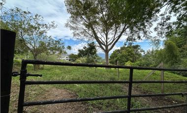 Venta de finca en Tamesis suroeste antioqueño