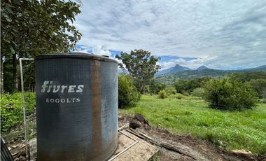 Venta de finca en Tamesis suroeste antioqueño