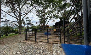 Venta de finca en Tamesis suroeste antioqueño
