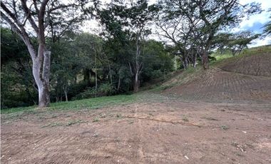 VENTA DE LOTE EN PUENTE IGLESIAS, SUROESTE DE ANTIOQUIA