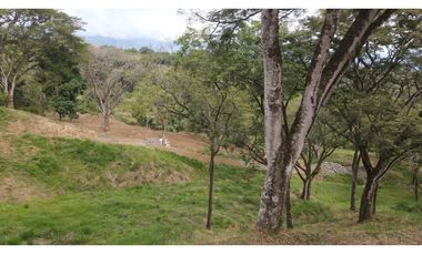 VENTA DE LOTE EN PUENTE IGLESIAS, SUROESTE DE ANTIOQUIA