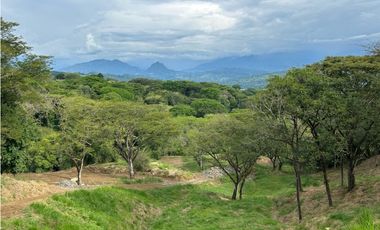 VENTA DE LOTE EN PUENTE IGLESIAS, SUROESTE DE ANTIOQUIA