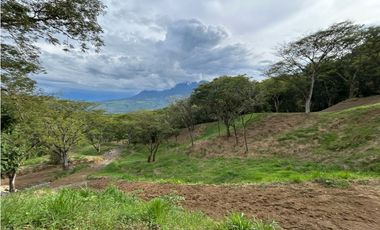 VENTA DE LOTE EN PUENTE IGLESIAS, SUROESTE DE ANTIOQUIA
