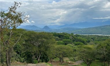 VENTA DE LOTE EN PUENTE IGLESIAS, SUROESTE DE ANTIOQUIA