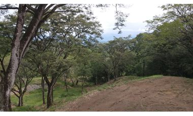 VENTA DE LOTE EN PUENTE IGLESIAS, SUROESTE DE ANTIOQUIA