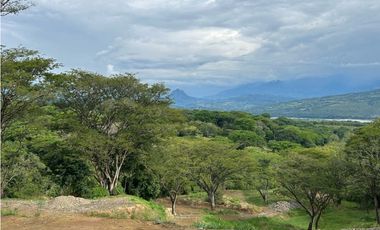 VENTA DE LOTE EN PUENTE IGLESIAS, SUROESTE DE ANTIOQUIA