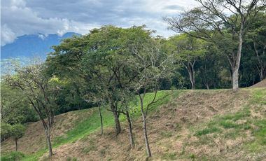 VENTA DE LOTE EN PUENTE IGLESIAS, SUROESTE DE ANTIOQUIA