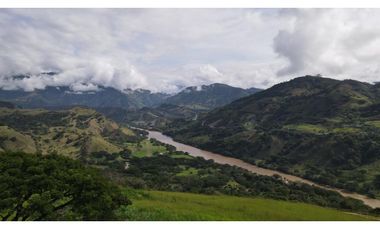 VENTA DE LOTE SALGAR  SUROESTE DE ANTIOQUIA