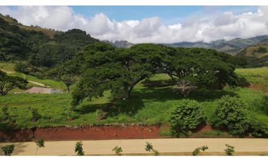 VENTA DE LOTE SALGAR  SUROESTE DE ANTIOQUIA