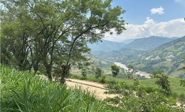 VENTA DE LOTE SALGAR  SUROESTE DE ANTIOQUIA