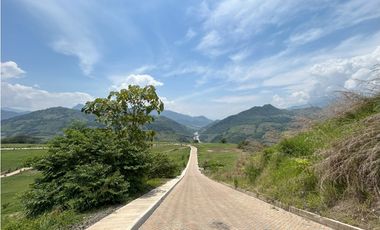 VENTA DE LOTE SALGAR  SUROESTE DE ANTIOQUIA