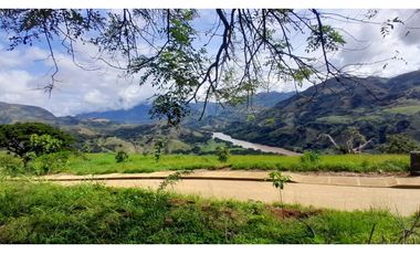 VENTA DE LOTE SALGAR  SUROESTE DE ANTIOQUIA