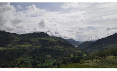 VENTA DE LOTE SALGAR  SUROESTE DE ANTIOQUIA