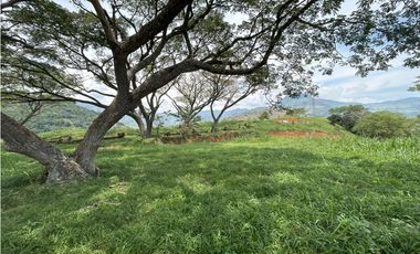 VENTA DE LOTE SALGAR  SUROESTE DE ANTIOQUIA