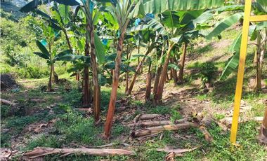 VENTA FINCA BETANIA SUROESTE ANTIOQUEÑO