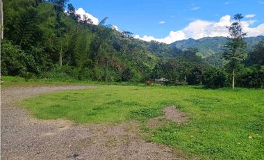 VENTA FINCA BETANIA SUROESTE ANTIOQUEÑO