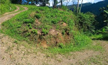 VENTA FINCA BETANIA SUROESTE ANTIOQUEÑO