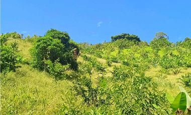 VENTA FINCA BETANIA SUROESTE ANTIOQUEÑO