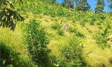 VENTA FINCA BETANIA SUROESTE ANTIOQUEÑO