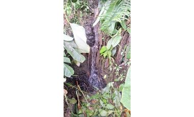 VENTA FINCA BETANIA SUROESTE ANTIOQUEÑO