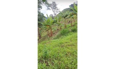 VENTA FINCA BETANIA SUROESTE ANTIOQUEÑO