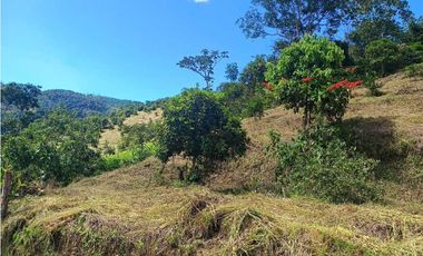 VENTA FINCA BETANIA SUROESTE ANTIOQUEÑO