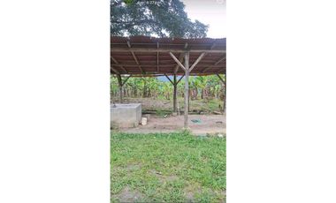 VENTA FINCA BETANIA SUROESTE ANTIOQUEÑO