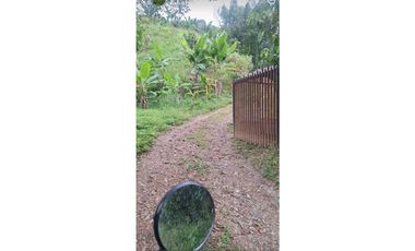 VENTA FINCA BETANIA SUROESTE ANTIOQUEÑO
