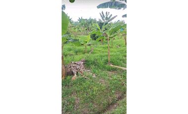VENTA FINCA BETANIA SUROESTE ANTIOQUEÑO