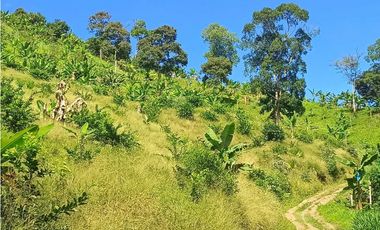 VENTA FINCA BETANIA SUROESTE ANTIOQUEÑO