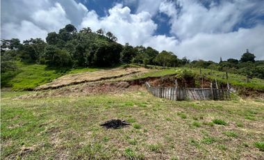 VENTA DE LOTE EN AMAGA SUROESTE DE ANTIOQUIA