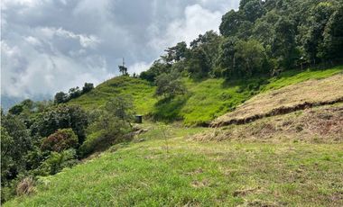 VENTA DE LOTE EN AMAGA SUROESTE DE ANTIOQUIA