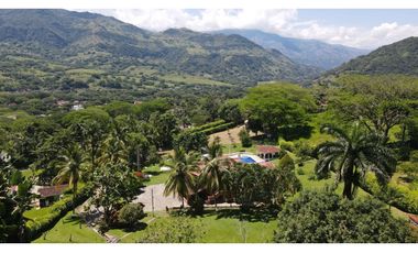VENTA DE FINCA EN LA PINTADA SUROESTE ANTIOQUEÑO