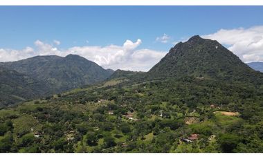 VENTA DE FINCA EN LA PINTADA SUROESTE ANTIOQUEÑO