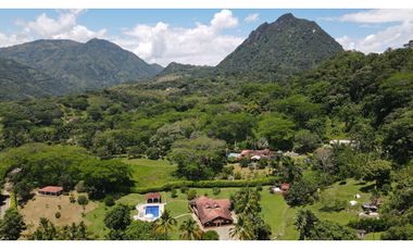 VENTA DE FINCA EN LA PINTADA SUROESTE ANTIOQUEÑO